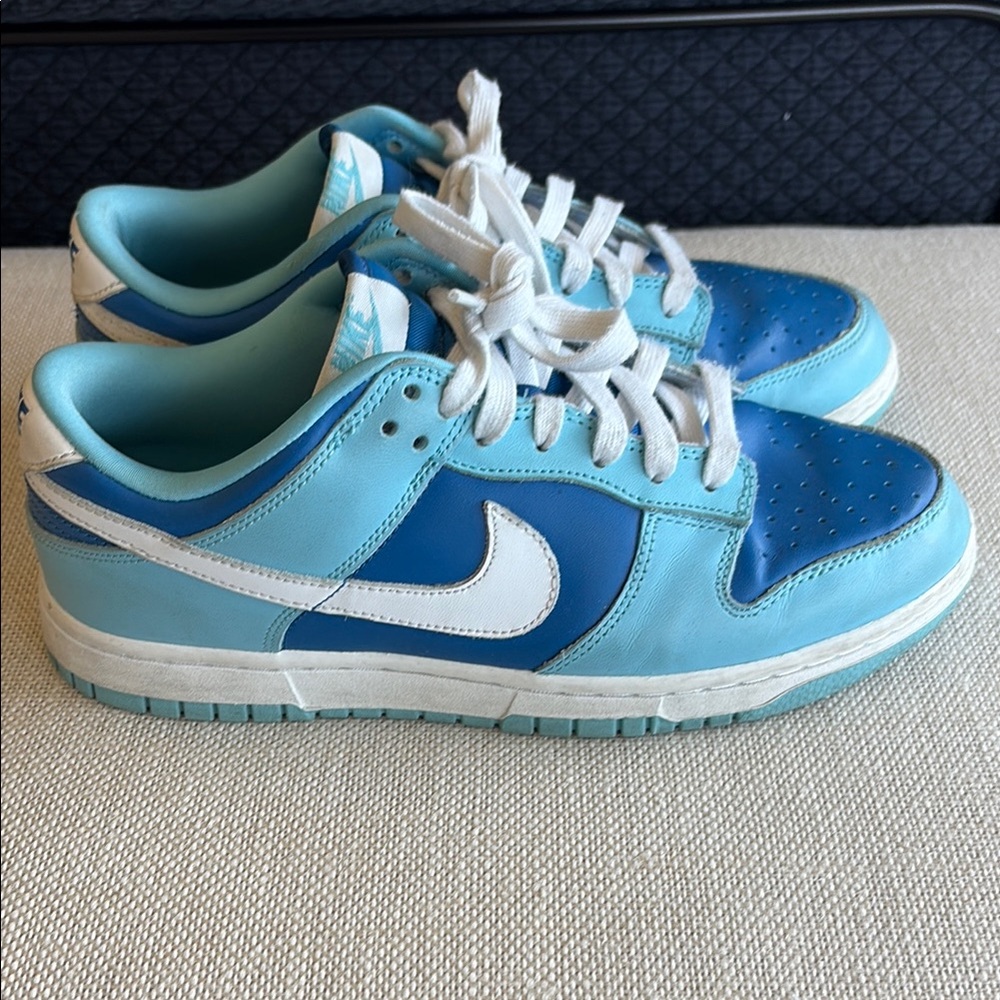 Nike Size 7.5 Men’s/9 women’s Dunk Low Retro QS ‘Argon’